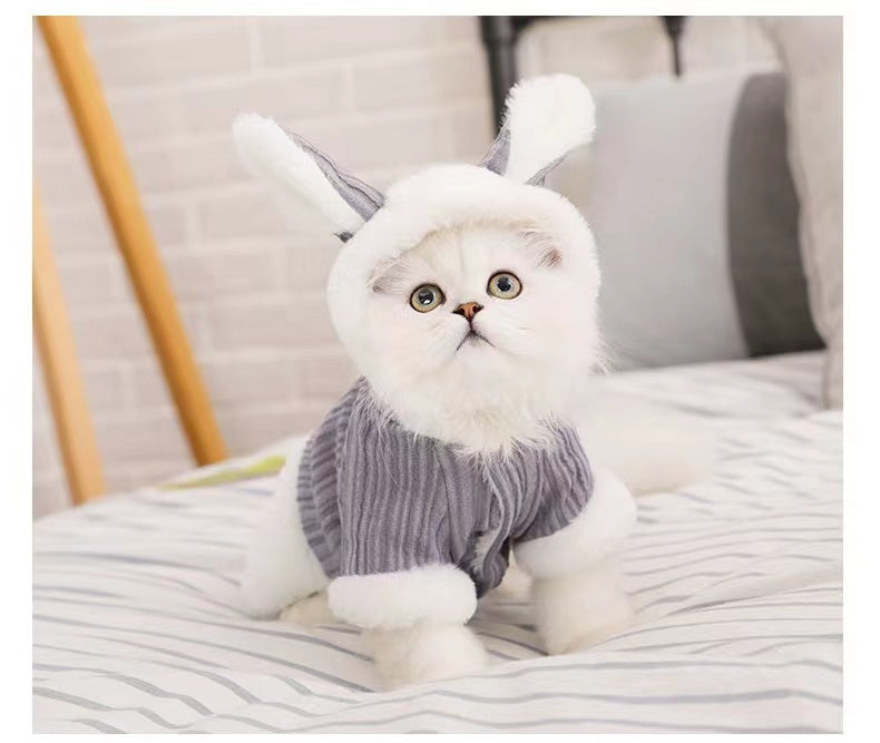 Lovely Pet Cat Soft and Warm Cute comfortable Clothes