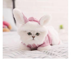 Lovely Pet Cat Soft and Warm Cute comfortable Clothes